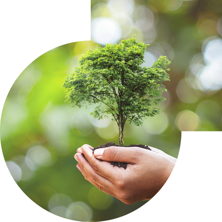 關懷人類、文化、環境與社會